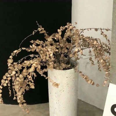 Furry兽设临摹素材福瑞交流群